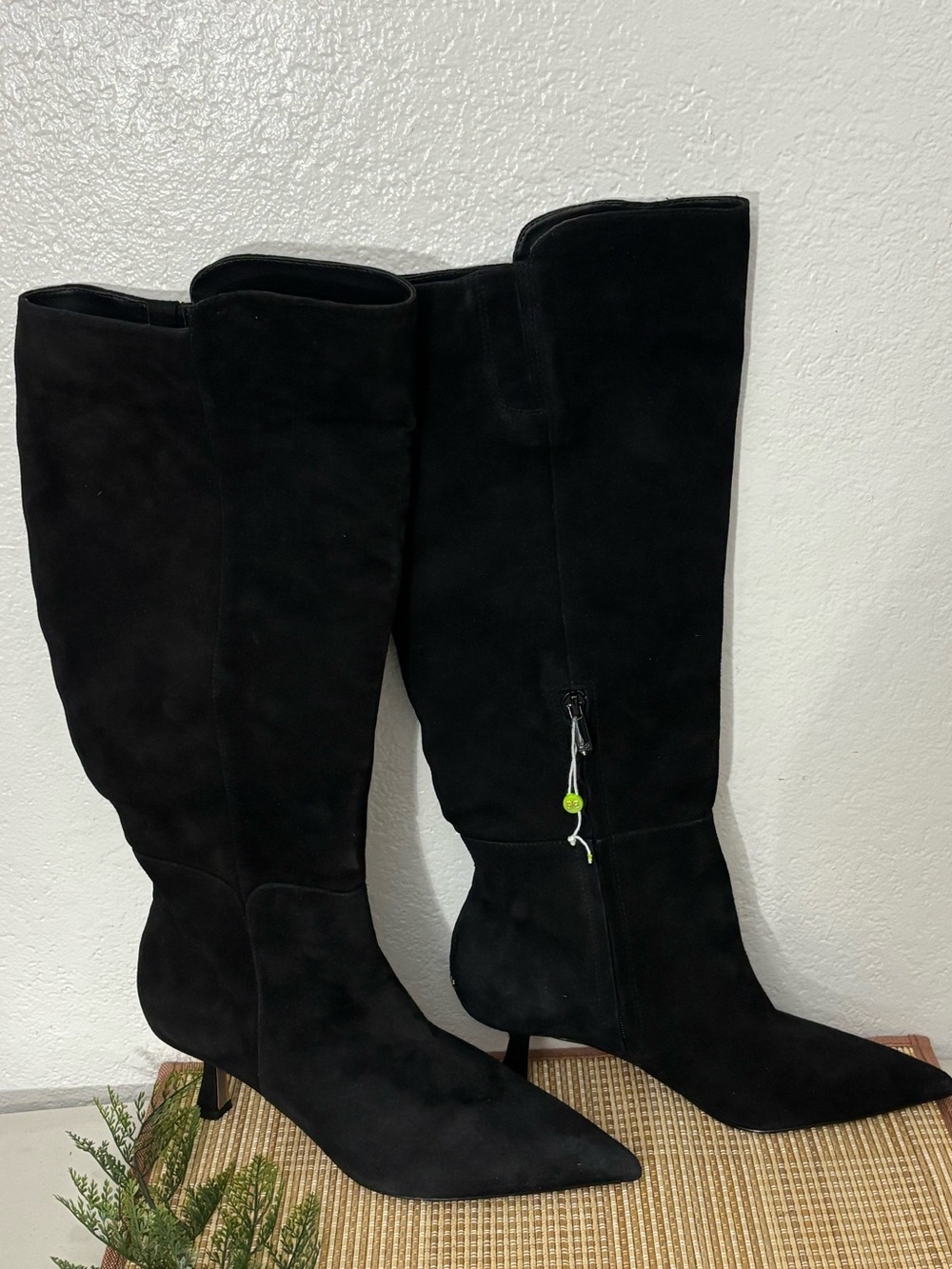 Sam Edelman Woman TAYLIN Pointed Toe Knee High Boot Size: 9.5M